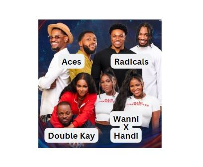 Wanni X Handi, Aces, Double Kay, and Radicals up for possible eviction in BBNaija Season 9 Week 5